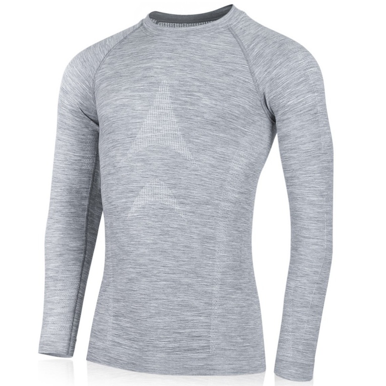 WOLF Mens Seamless Merino long sleeve T-Shirt, mulesing-frei, Made in EU